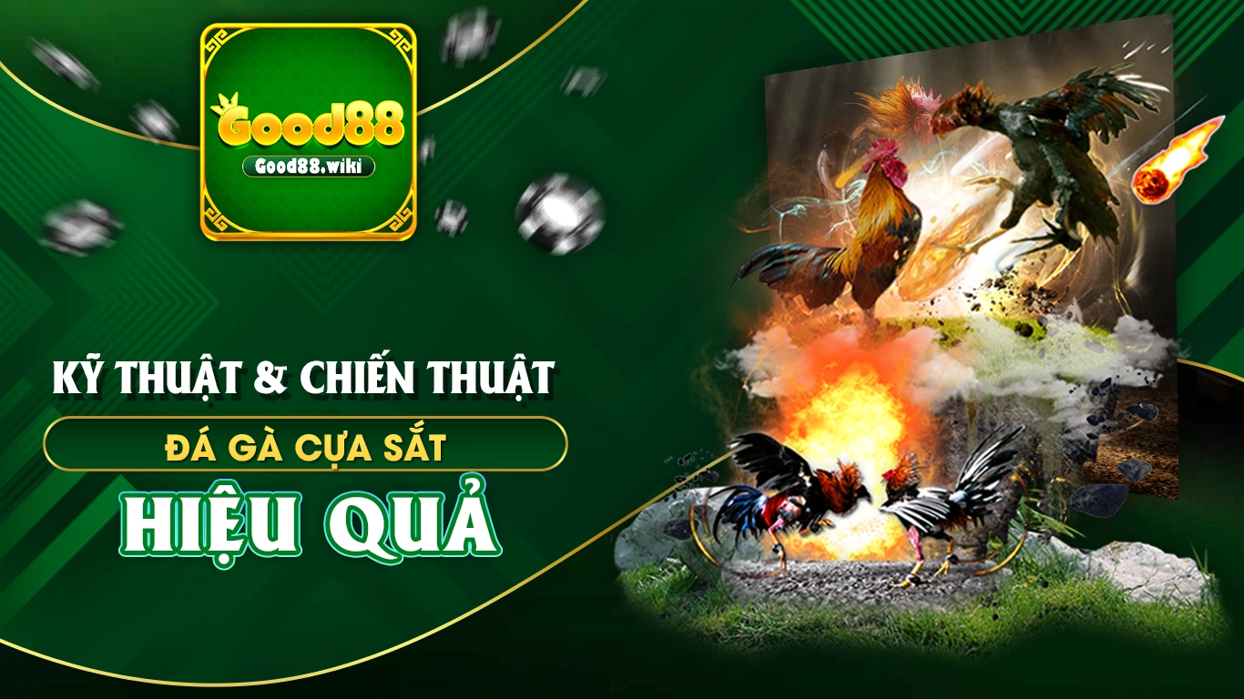 đá gà cựa sắt good88 02