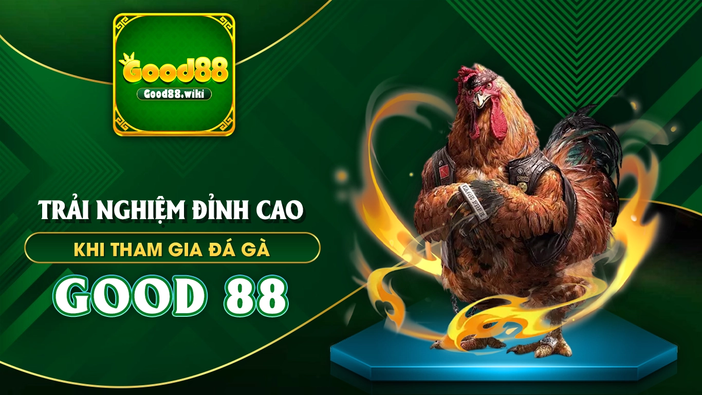 đá gà good88 01